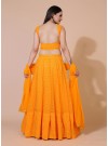 Dust-Orange Lucknowi Chikankari Work Stitched Lehenga Choli